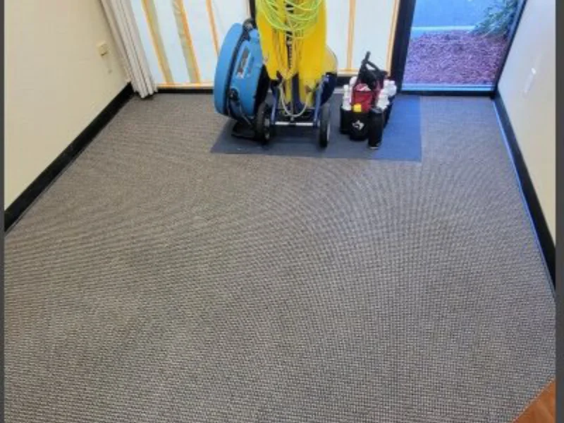 after carpet cleaning