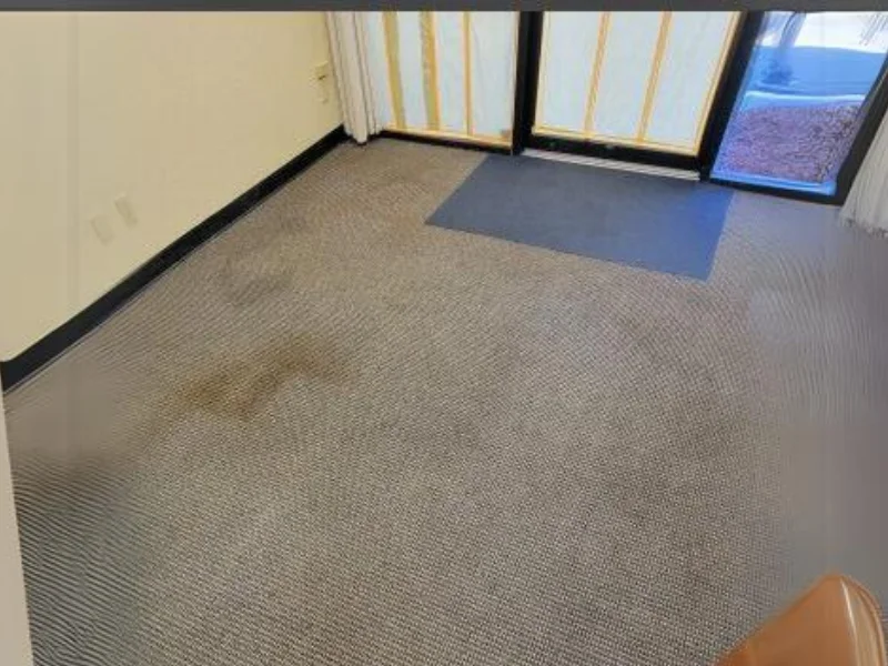 before carpet cleaning